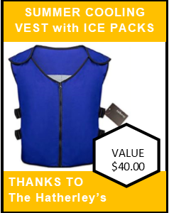 Vest